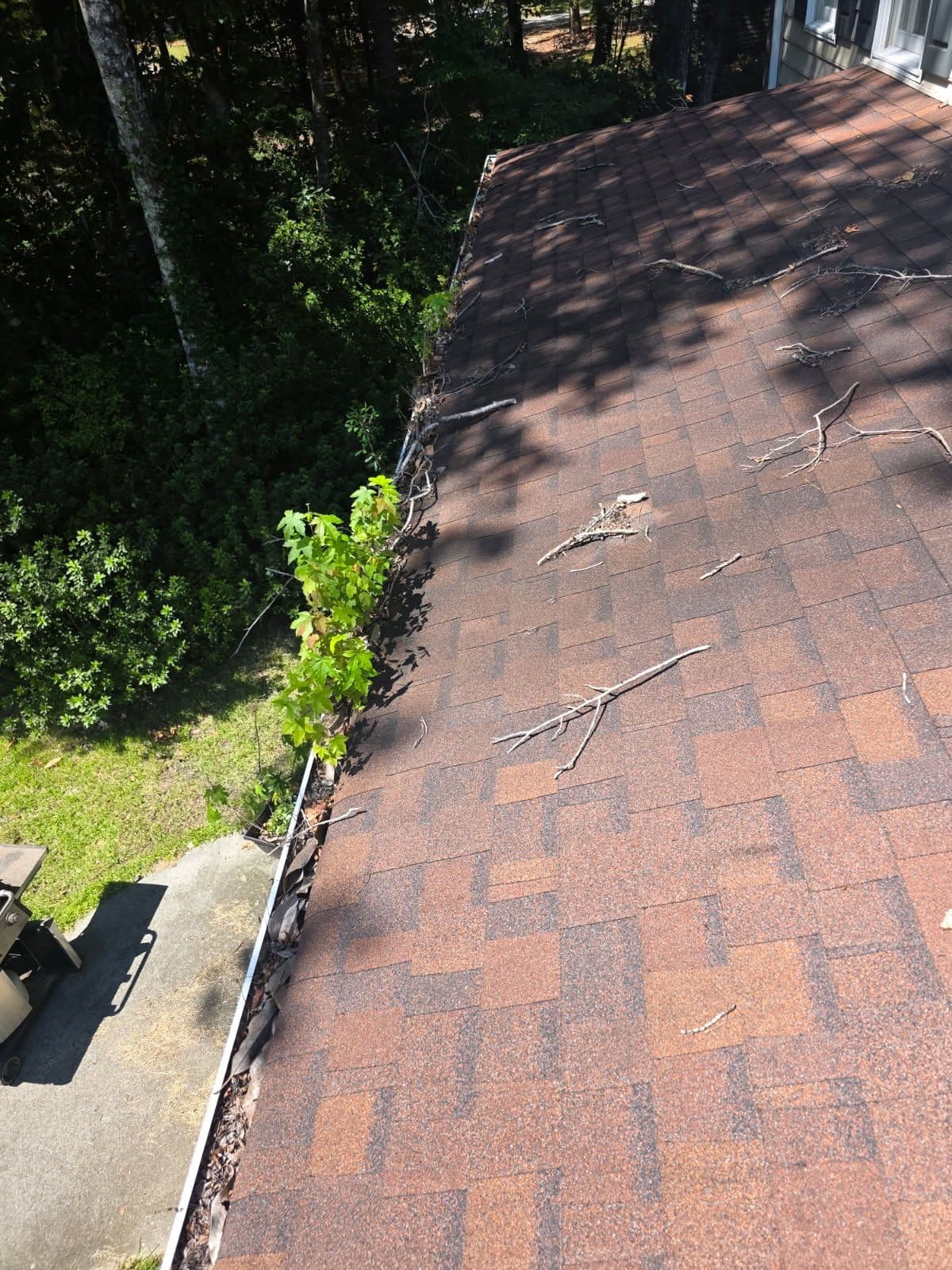 Transform Your Roof and Gutters with Expert Cleaning image