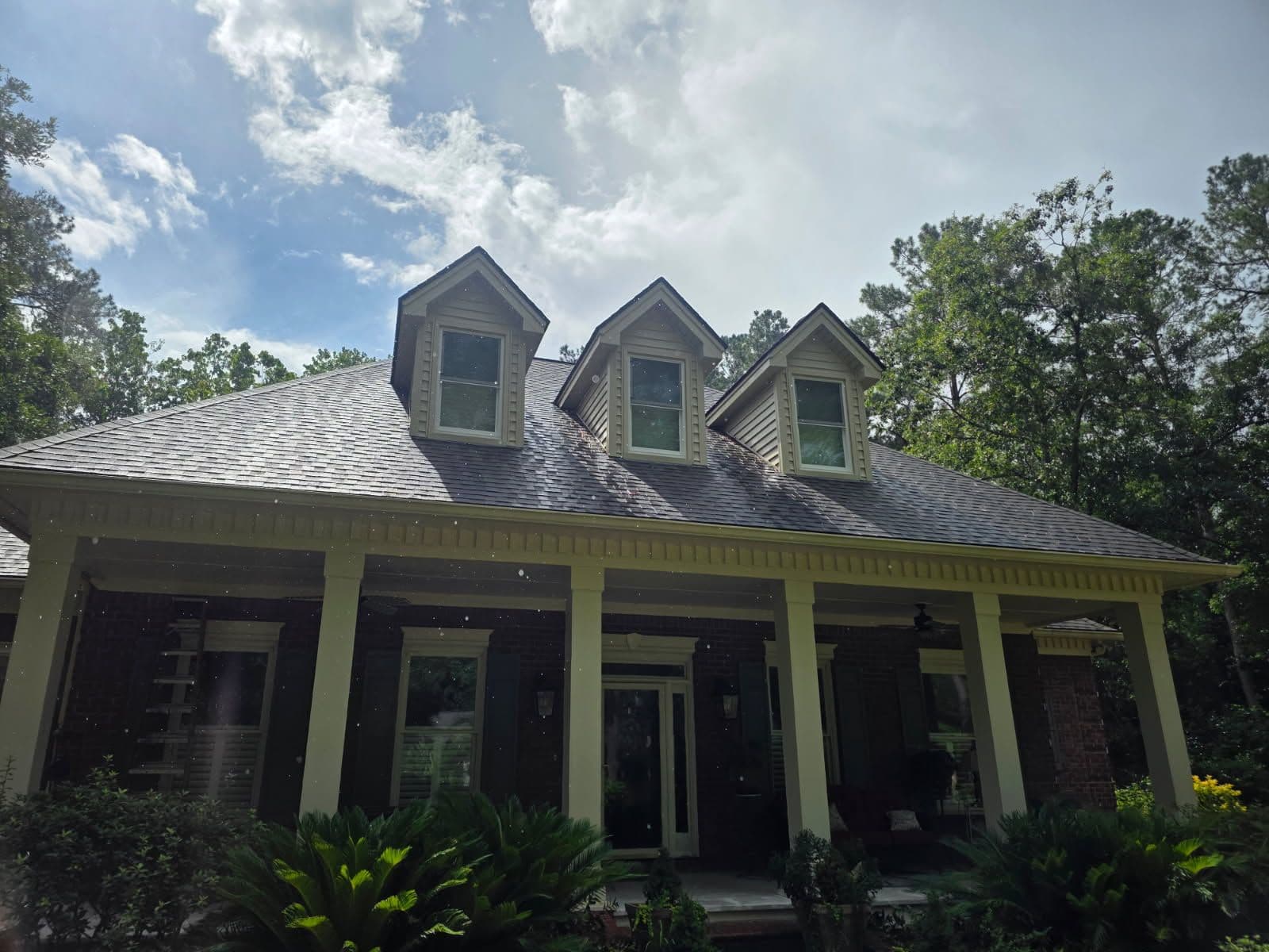 Spotless Roof Transformation in Summerville image