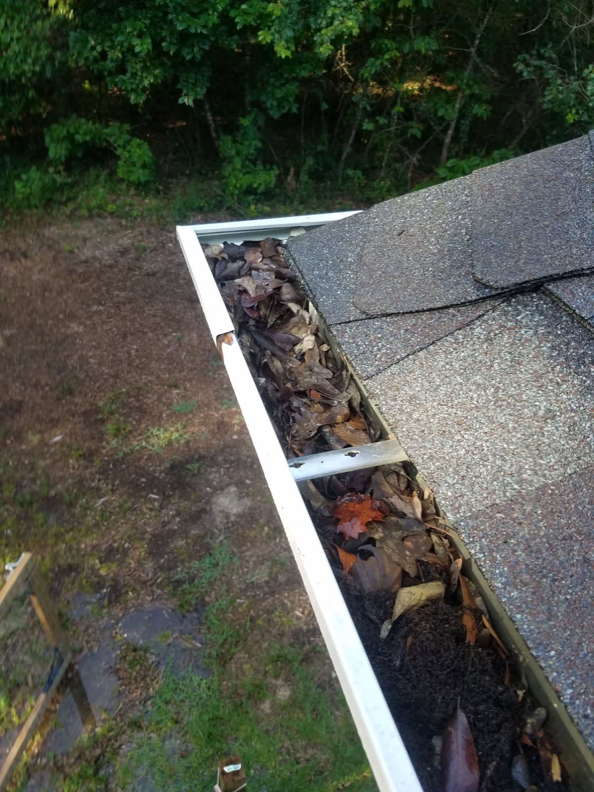 Why Gutter Cleaning Matters for Your Home
