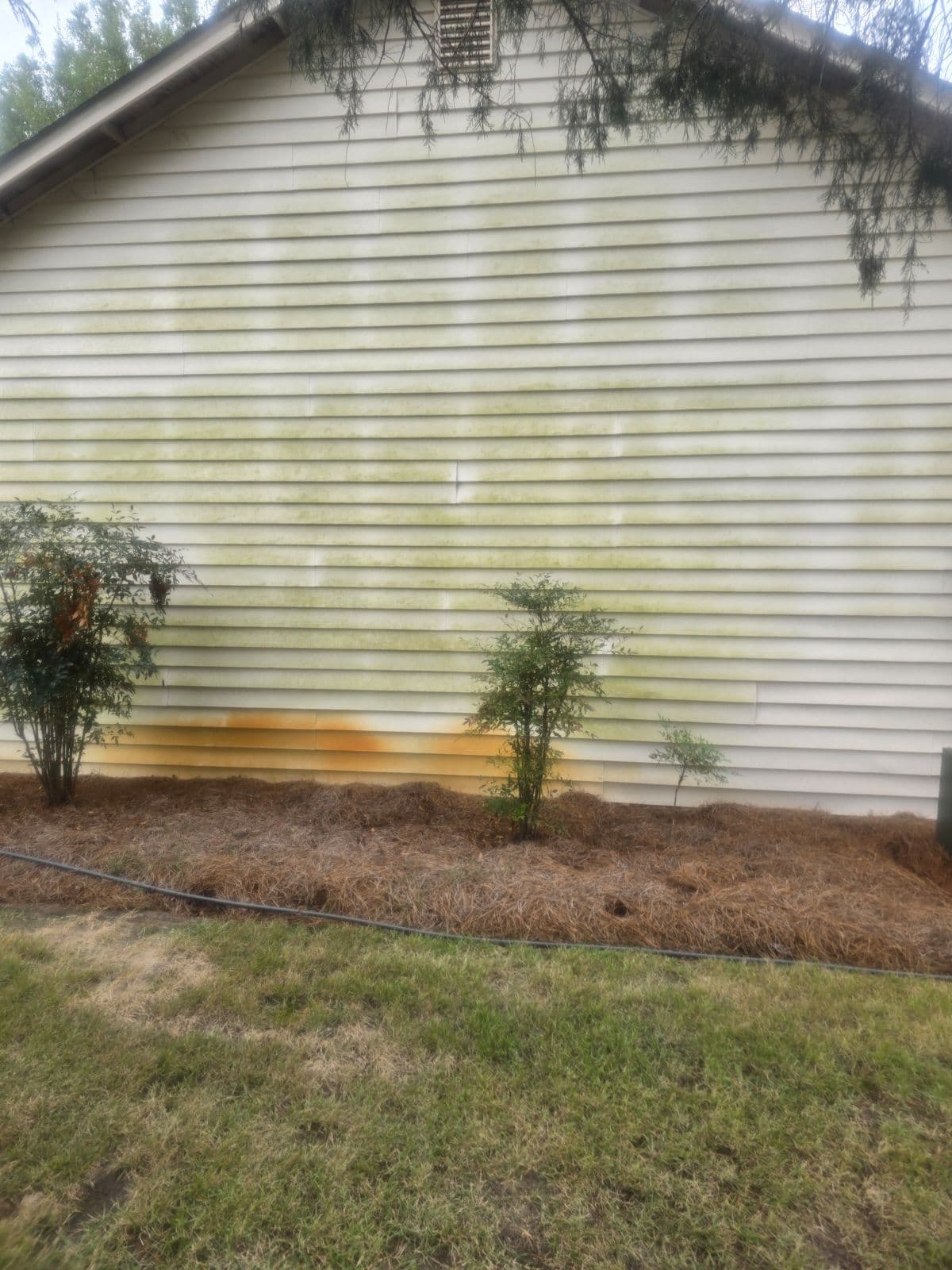 Project Pressure Washing Transformation image