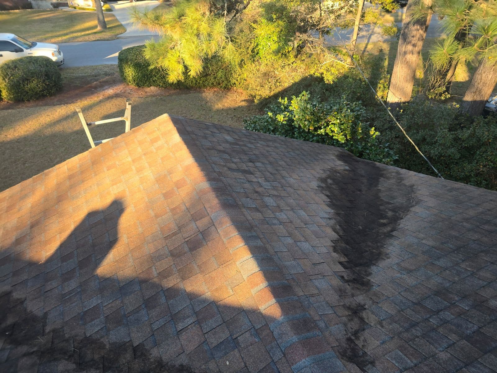 Roof Cleanup in West Ashley