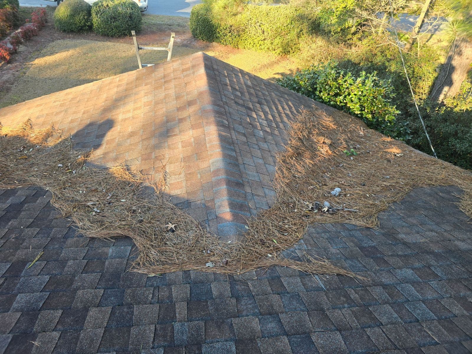 Gallery photos for Roof Cleanup in West Ashley: Image #1