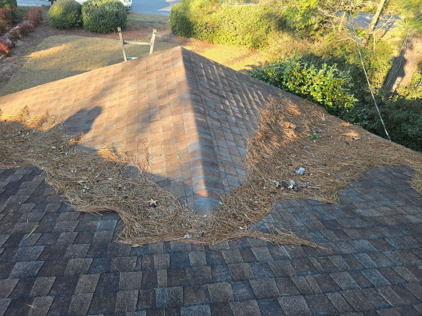 Roof Cleanup in West Ashley