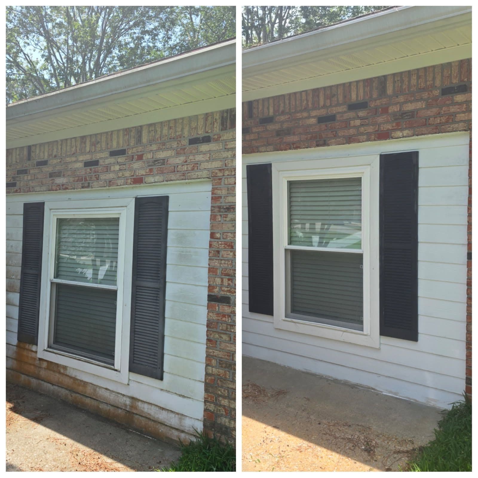 Project Spectacular Home Transformation with Building Washing image