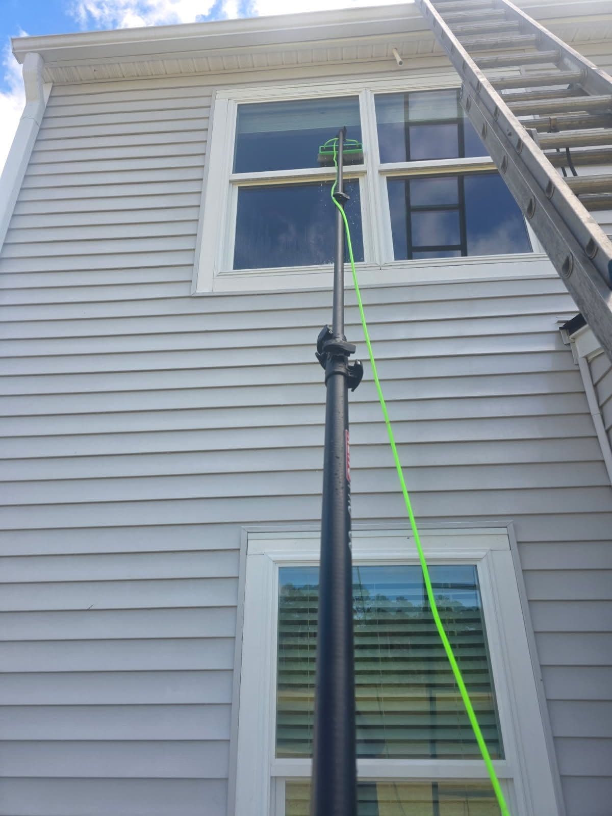 Window Cleaning Delight in Mt P image